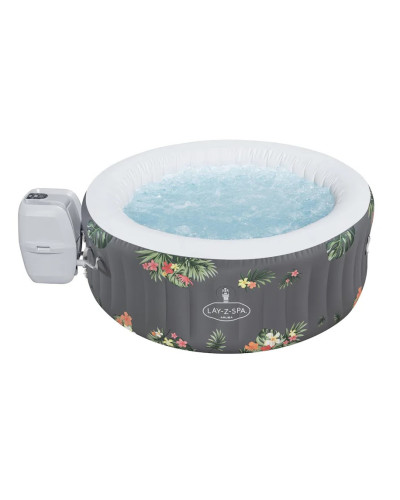 Надувной джакузи-СПА Bestway 60061 (Aruba) (170х66 см) (3 мест: 1 325 л/ч, аэро, тент, дозатор)